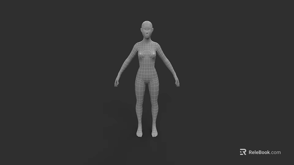Woman 3D Wireframe Model Standing On Black Background With Grid Structure 3d model 