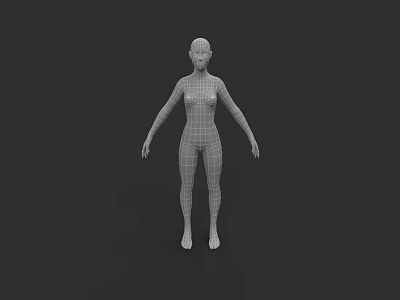 Woman 3D Wireframe Model Standing On Black Background With Grid Structure 3d model