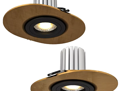Sleek Downlights and Spotlights with Wooden Trim Metal Body and Illuminated Light Source 3d model