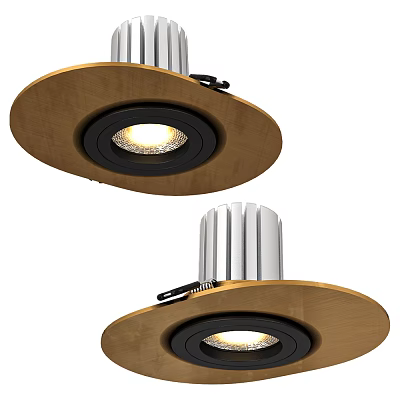 Sleek Downlights and Spotlights with Wooden Trim Metal Body and Illuminated Light Source 3d model
