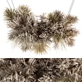 Natural Dried Pine Needles And Ferns Floral Vase Arrangement With Earthy Tones