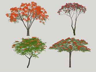 arbor SU model 3d model