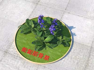 Commercial Equipment For Plant Display With Circular Green Surface Purple Flowers And Leaves 3d model