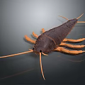 Household Pest Control Products for Silverfish With Long Antennae and Brown Body
