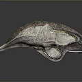 Detailed Crocodile Model with Scaly Skin Open Jaws Surrounded by Plants Rocks on Display Stand