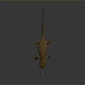 Realistic Brown Salamander With Red Belly And Small Fish On Dark Background 3d model