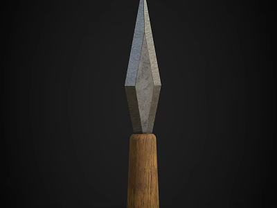 Traditional Weapon Spear With Sharp Metal Head And Polished Wooden Handle Design 3d model