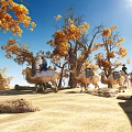 Desert Trees With Yellow Leaves Camel Caravan People Riding Camels Blue Sky Sunshine And Rocks