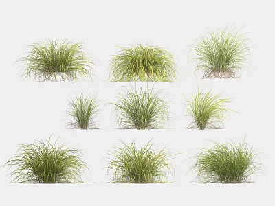 Various Green Grass Clumps with Diverse Growth Forms on White Background 3d model