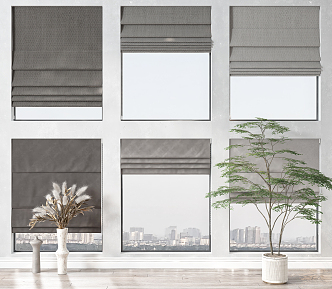 Modern Roman Curtain 3d model