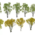 Various Arbor Trees With Green And Yellow Leaves In Different Shapes For Design
