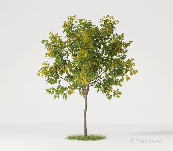 Single Arbor with Green and Yellow Leaves and Brown Trunk on Grassy Base 3d model 