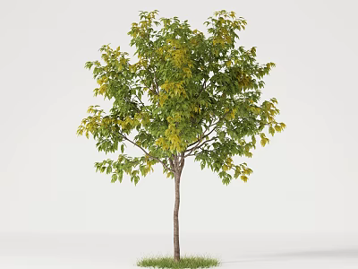 Single Arbor with Green and Yellow Leaves and Brown Trunk on Grassy Base 3d model