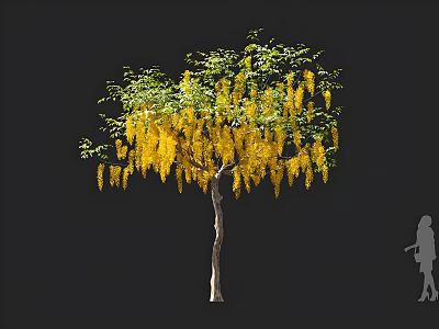 Elegant Arbor Displaying Hanging Yellow Flowers And Lush Green Leaves In Landscape 3d model