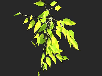 Green Hanging Plant Branches With Fresh Light Green Leaves On Dark Background 3d model