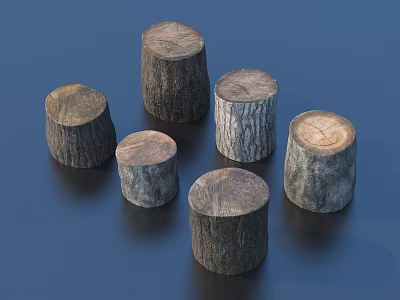 Display Of Natural Tree Stumps With Various Sizes And Wood Textures 3d model