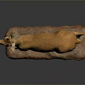 Realistic Lifelike Antelope Specimen Display With Natural Brown Fur And Rock Base