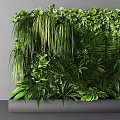 Diverse Lush Green Plant Wall With Various Natural Foliage And Vibrant Greenery Design