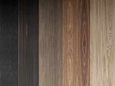 Natural Wood Wall Paneling Featuring Different Grain Patterns and Colors for Interior Design 3d model