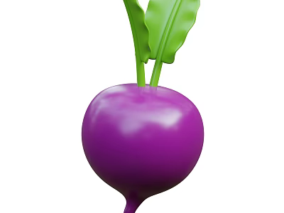 Healthy Purple Root Vegetable With Fresh Green Leaves And Smooth Surface 3d model