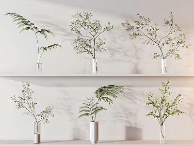 Potted Plants on White Shelves with Transparent Vases Various Green Ferns Branches and Soft Lighting 3d model
