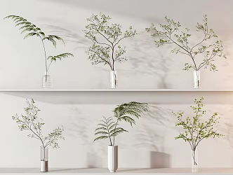 modern aquatic plants 3d model