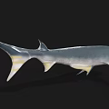 Detailed Gray Shark With Yellow Fins Smooth Body And Lifelike Aquatic Animal Eyes