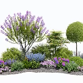 Vibrant Garden Shrubs With Purple Flowers Rounded Shapes Mixed Greenery And Pebble Ground