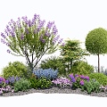 modern shrub plant floral border plant combination plant cluster plant pile bauhinia bauhinia crape myrtle tree flowers and plants 3d model