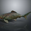 Large Greenish Brown Fish Model With Red Eyes And Textured Skin On Dark Background