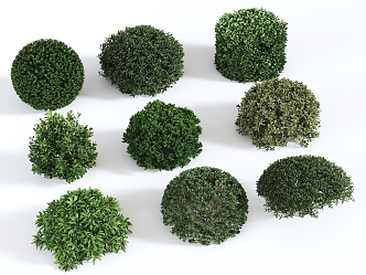 bush ball 3d model