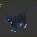Gray Cat Standing With White Paws Chest And Yellow Eyes On Smooth Black Surface