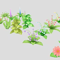 Colorful Plants Collection With Various Shapes And Different Colored Flowers In Illustration Style