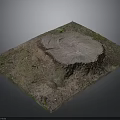 Natural Tree Stump With Small Plants And Moss On Dirt Ground