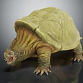 Detailed Green Turtle Model With Textured Shell Wrinkled Head And Open Mouth