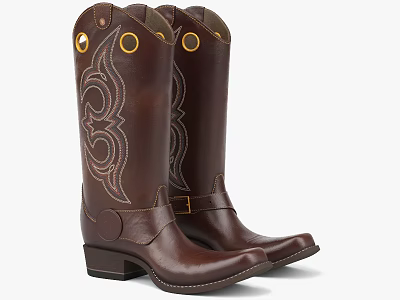Brown Leather Cowboy Boots With Tall Shaft Decorative Stitching And Block Heel 3d model