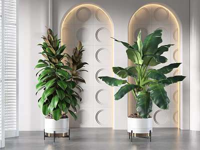 Large Leafy Indoor Potted Plants with White Planters and Metal Stands in Modern Decor 3d model