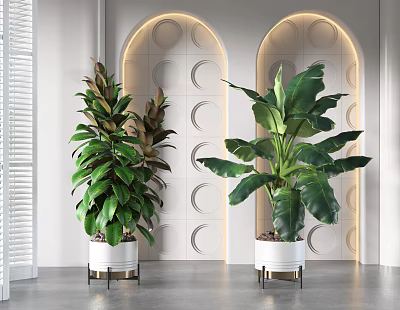 Large Leafy Indoor Potted Plants with White Planters and Metal Stands in Modern Decor 3d model