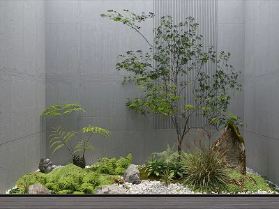 Courtyard Garden Design With Gray Concrete Walls Small Tree Ferns Stones And White Pebbles 3d model