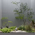 Courtyard Garden Design With Gray Concrete Walls Small Tree Ferns Stones And White Pebbles