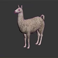 Realistic White Llama Standing On Black Background With Reflection And Details 3d model