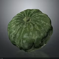 Green Pumpkin With White Spots Fresh Round And Healthy Organic Produce