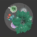 Green Monstera Plants With Various Pots On Transparent Round Tray And Wooden Stands