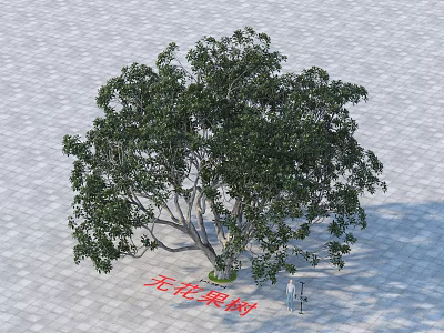 Fig Tree With Broad Canopy And Lush Green Foliage In Outdoor Area 3d model