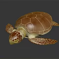 3D Rendered Brown And White Turtle With Textured Shell And Spotted Limbs On Dark Background