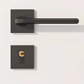 Modern Black Door Handle With Gold Lock Knob And Green Plant Nearby