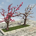 Two Trees With Red And White Flowers Against Blue Sky On Stone Ground With Grass
