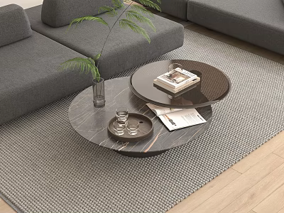 Round Coffee Table with Tray Glasses Books and Green Plant near Gray Sofa on Rug 3d model