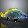 Vibrant Fish With Yellow Fins And Shimmering Blue Green Scales On Gray Background