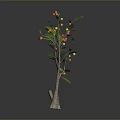Decorative Plant with Brown Trunk Green Leaves Red and Yellow Fruits Against Dark Background